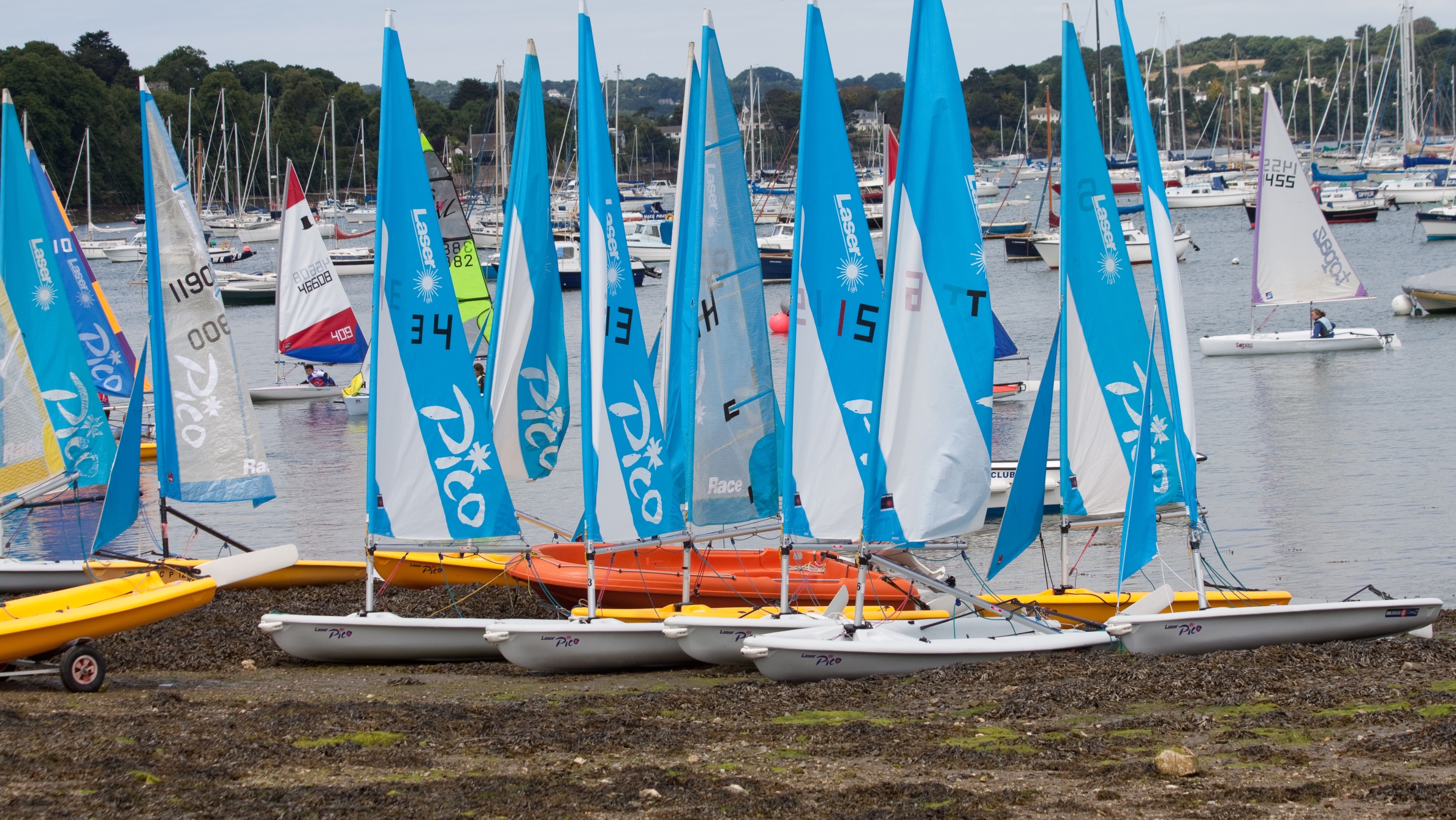 Cornwall Schools Regatta 2017 Mylor Sailing