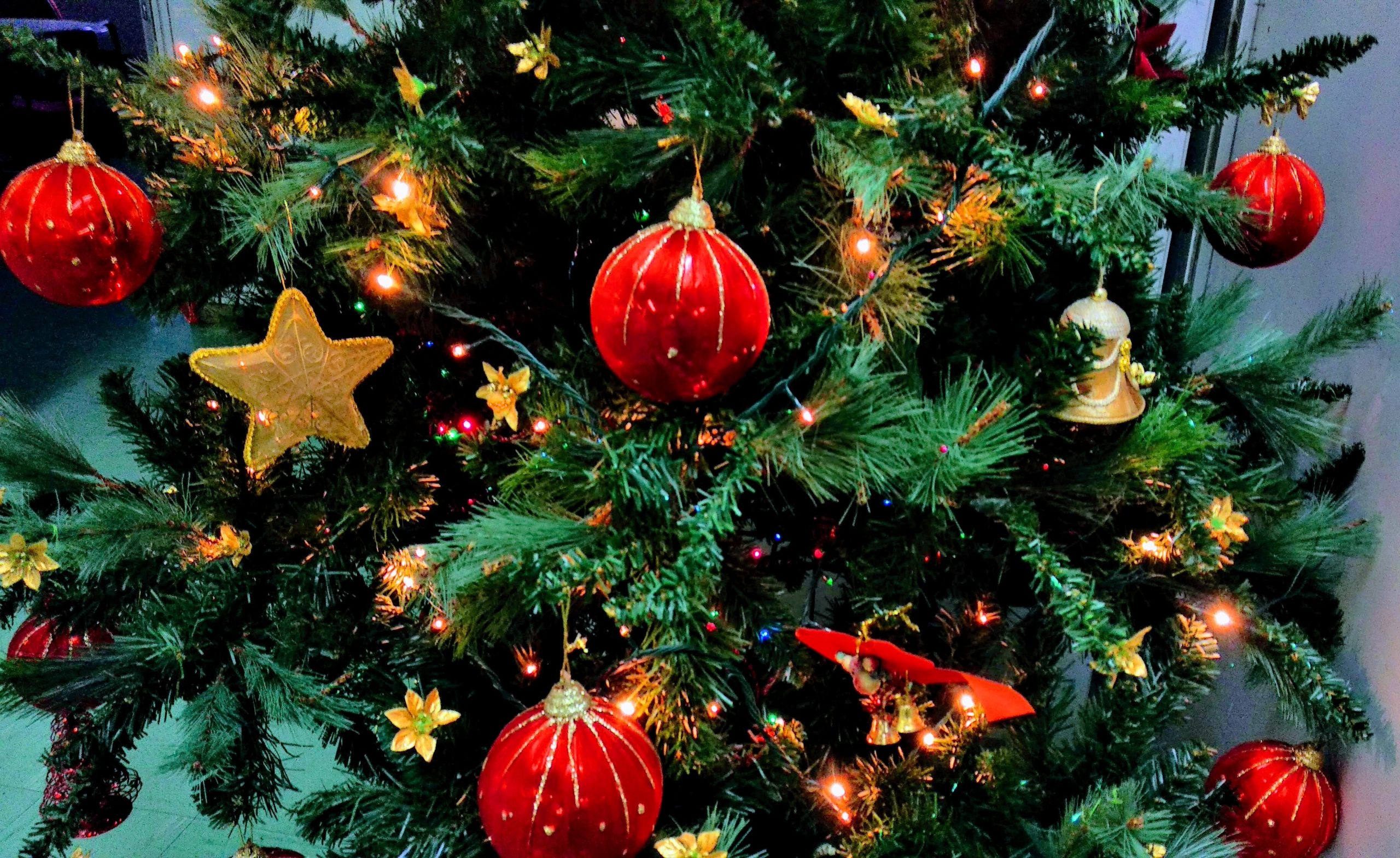 christmas tree with red and gold decorations